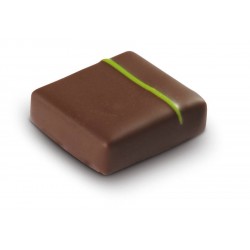 Bonbon de chocolat noir menthe fraiche 1.5kg