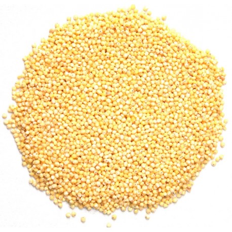 Graines de millet bio decortiquées 5 kg