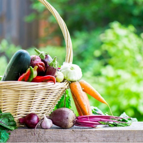 Printanière de légumes 2,5 kg
