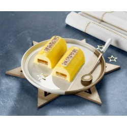 Bûchette mangue passion 9 cm 110 g