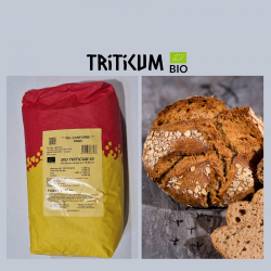 Mélange bio TRITICUM 50% 10 kg