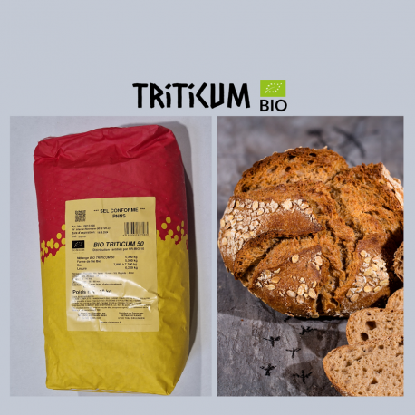 Mélange bio TRITICUM 50% 10 kg