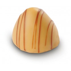 Bonbon de chocolat praliné Trésor de nougat 1.5kg