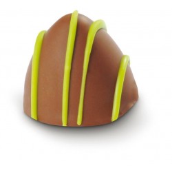 Bonbon praliné Trésor de noisette chocolat lait 1.5kg