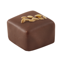 Bonbon de chocolat lait praliné cacahuète 1.5kg