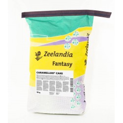 Préparation pour cake gout caramel 10 kg