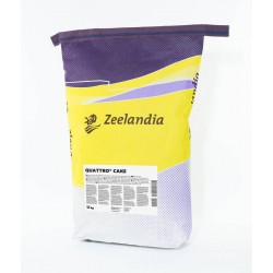 Préparation pour cake, quatre-quarts 10 kg