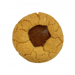 Cookie aux cristaux de sel fourrage apparent caramelau beurre salé 70 g x48