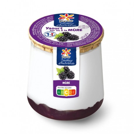 Saveur d'autrefois sur lit de mûre 140 g x 6