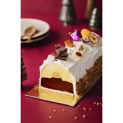 Gouttière glacée chocolat et fruits exotiques avec mangue/passion 57 cm 1.5 kg