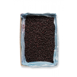 Myrtilles sauvages Pologne entières 10 kg