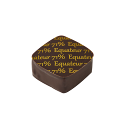 Bonbon de chocolat fourré de ganache chocolat noir Equateur 1.5 kg 