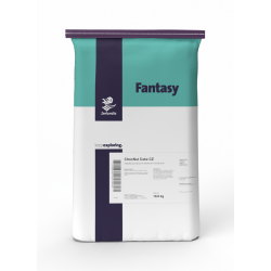  Fantasy ChocNut Cake 10 kg 