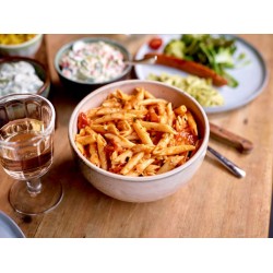 Penne méditéranéènne 1,25 kg