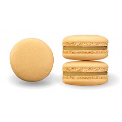 Macaron abricot 16 g