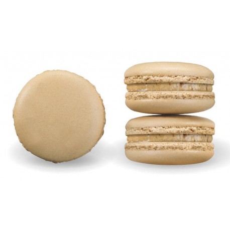 Macaron noix AOP Périgord 16 g