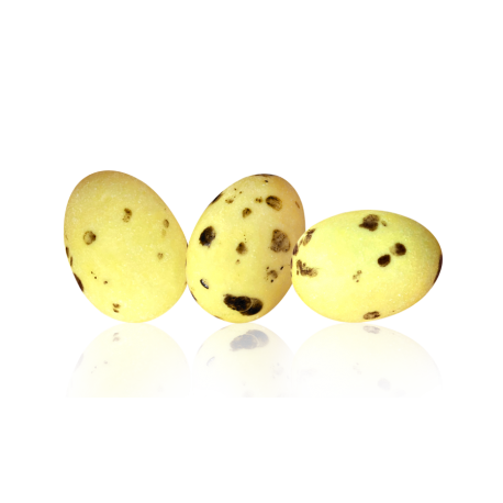 Colis trio oeufs goeland 2026