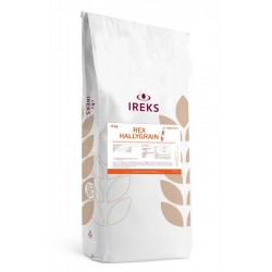 Préparation pour pain HallyGrain x 15 kg