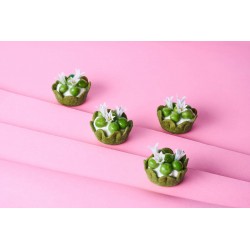 Amuses bouches aromatisés pâte brisée prêtes à garnir 4,5g