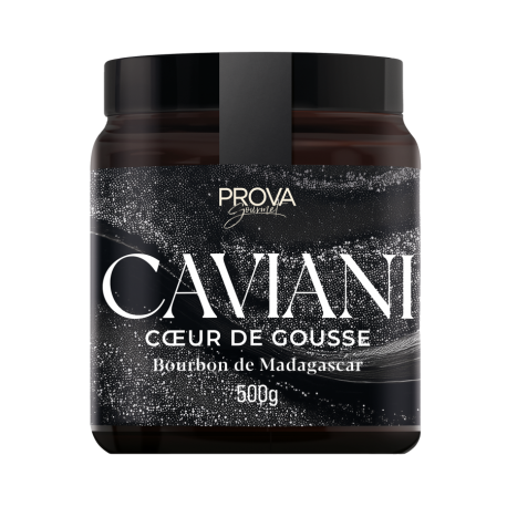 Pâte d'extrait de vanille Bourbon Madagascar avec graines caviani 500g