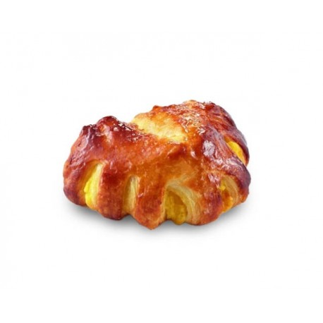 Patte d'ours prêt à pousser- prédoré 95g cru x90