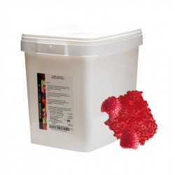 Purée framboise sucrée 20 kg