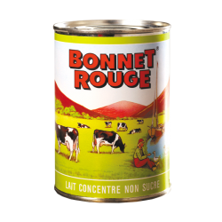 Lait concentré non sucré 410 g