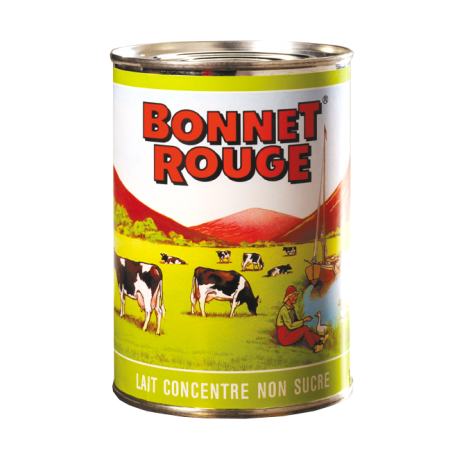 Lait concentré non sucré 410 g