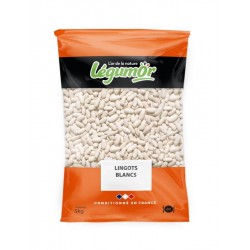 Lingot blanc 5 kg