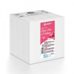 Préparation pour glace fraise UHT 5,5 kg