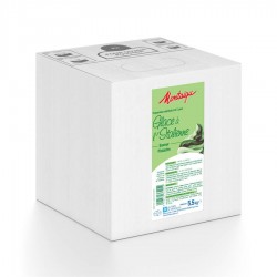 Préparation pour glace pistache UHT 5,5 kg