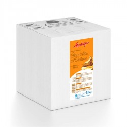 Préparation à l'abricot pour glace à l'italienne UHT 5,5 kg