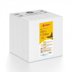 Préparation pour glace à l'italienne à la banae UHT 5,5 kg