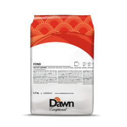 Fond au caramel salé pour la préparation de bavarois et desserts 2,5kg