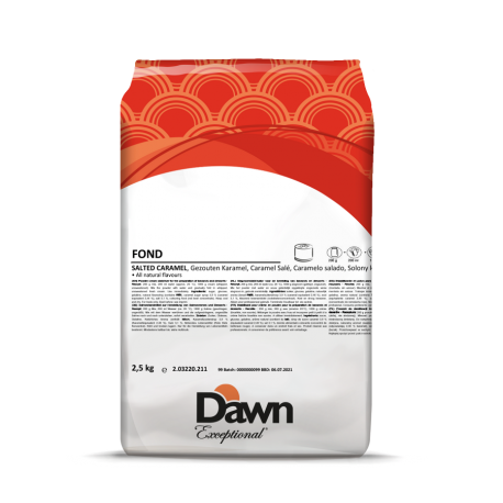 Fond au caramel salé pour la préparation de bavarois et desserts 2,5kg