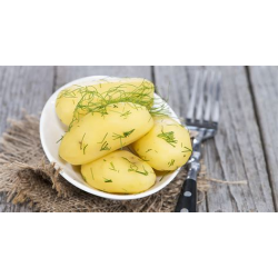 Pomme de terre entière parisienne 28-35 2 kg