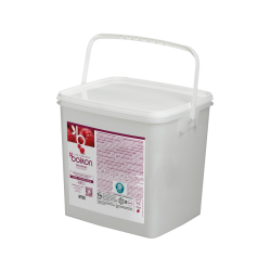 Purée de framboises sucrées 10 kg