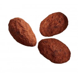Amande turbinée bahiane 2 kg