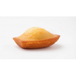 Madeleine pur beurre 45 g x 70